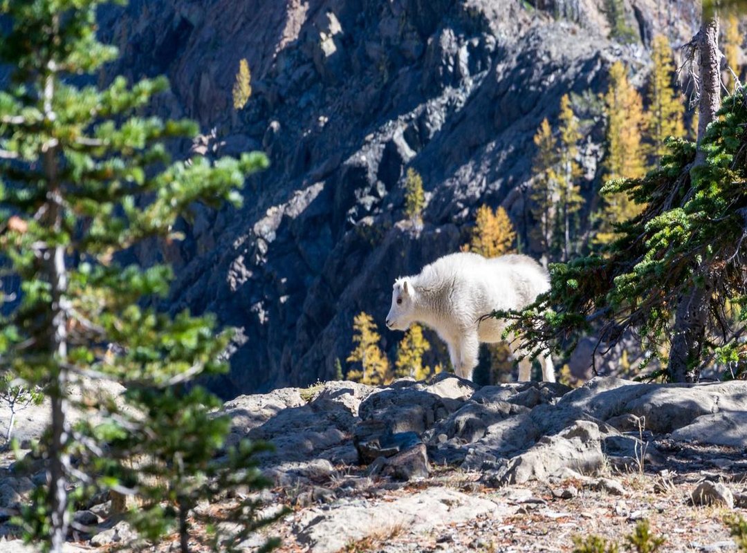 What to Know Before You Go: Essential Tips for a Flawless Tattoo