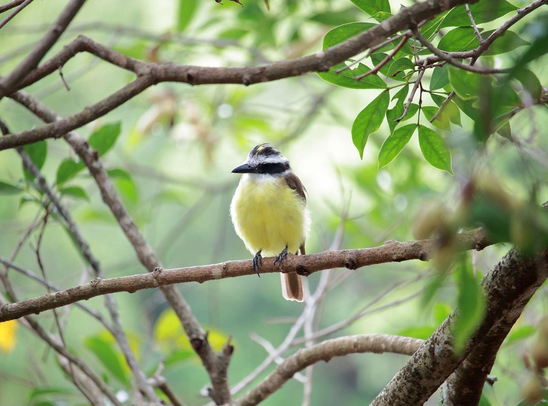 How to Hunt Down That Specific Wallpaper You Saw