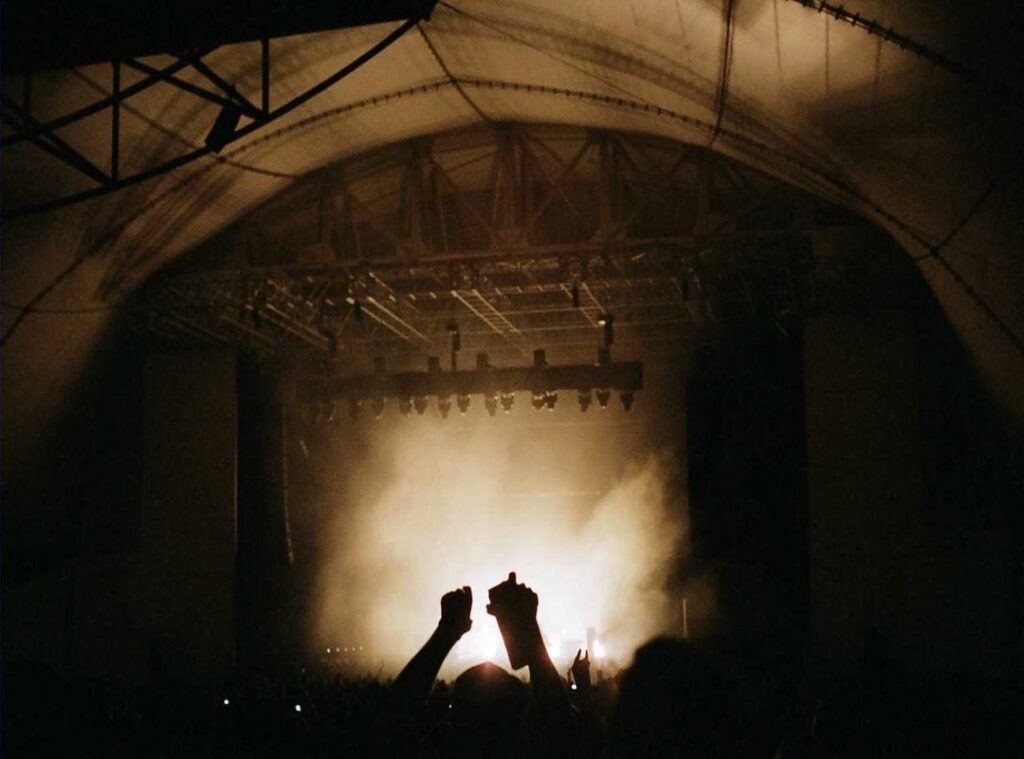 wallpaper:y1c5pjg5svg= duck