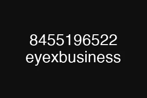 8455196522 eyexbusiness