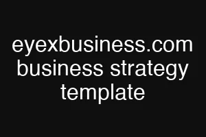 eyexbusiness.com business strategy template