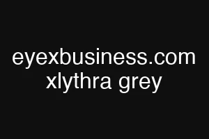 eyexbusiness.com xlythra grey